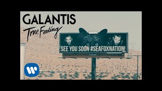 Galantis  True Feeling Official Music Video [upl. by Anrahs338]