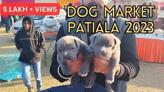 Puppy market in India at cheapest rates Wholesale Dog market outside Patiala Dog show 2023 [upl. by Novek]