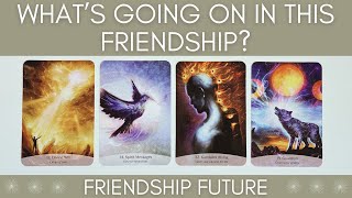 🌟 WHATS GOING ON IN THIS FRIENDSHIP 💫 PICK A CARD 🌟 TAROT READING ❤️ [upl. by Mehetabel511]