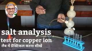 copper ion test salt analysis neet [upl. by Luy]