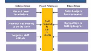 Using the Force Field Analysis [upl. by Meraree]