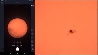 LIVE in 4K  Sunspots 37773788  Seestar S50  DWARF II  Pompey Observatory  15 August 2024 [upl. by Leik]