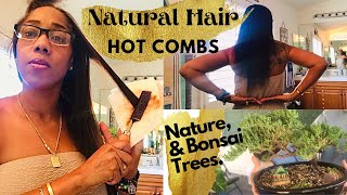 Watch Me Hot Comb Natural Hair At Home  Old School Straightening  Then Bonsai Tree Shopping [upl. by Safoelc]