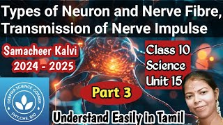 Types of Neurons and Nerve Fibres Transmission of Nerve Impulse Class 10 Science Term 1 Unit 15 [upl. by Ddet806]