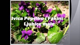 Ivica Pepelko i Fakini  Ljubice male [upl. by Vyky]