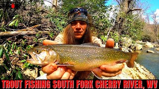 Trout Fishing Cherry River WEST VIRGINIA [upl. by Gretta927]