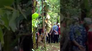 Pelatihan untuk demplot perlebahan kelompok Tani Hutan Rimba Langgeng [upl. by Anees]