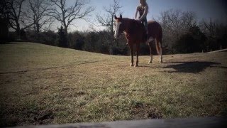 manifesto horse yoga stretchy yoga on horseback [upl. by Ring]