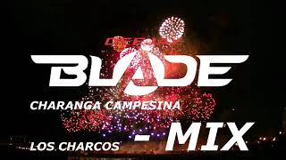 Charanga Campesina  Los Charcos  Pro Dj Blade [upl. by Allard497]