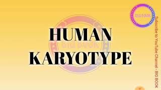 HUMAN KARYOTYPE and its significance [upl. by Trude]