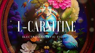 LCarnitine Morphic Field [upl. by Arol831]