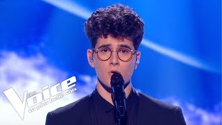 Daniel Balavoine  SOS Dun Terrien En Détresse  Gjons Tears  The Voice 2019  Live Audition [upl. by Eikin]