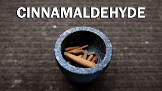 How to extract Cinnamaldehyde from Cinnamon [upl. by Merla139]