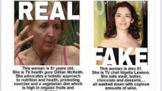 Nigella Lawson Vs Gillian Mckeith [upl. by Irahs877]