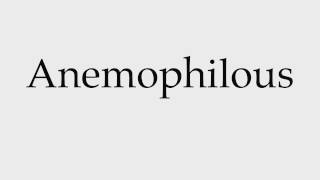 How to Pronounce Anemophilous [upl. by Ikkela]