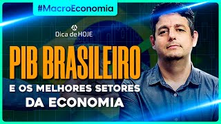 O que o PIB nos fala sobre OS MELHORES SETORES da economia [upl. by Georgianne]