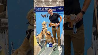 ad Why ​⁠lowes is the best petfriendly store DogsofLowes LowesPartner [upl. by Nodmac]