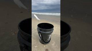 Mullet fish making a run for it fish fishing funny beach obx summer free [upl. by Cresida]