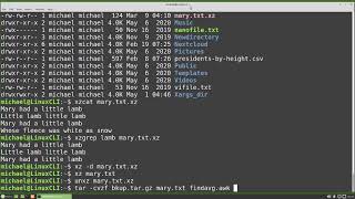 Linux Command Line 49 bzip2 xz zip tar files [upl. by Tarr975]