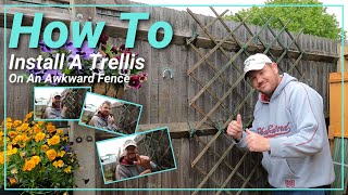 How To Install A Trellis On An Awkward Fence [upl. by Loree]