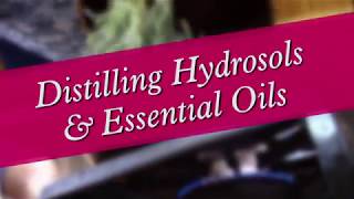 Distilling Hydrosols amp Essential Oils [upl. by Shirley]