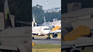 volaris aviation aircraftvideos aeropuertolaaurora planespotting landing airlines [upl. by Orella]