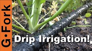 DIY Soaker Hose Drip Irrigation System  GardenFork [upl. by Kelleher436]