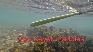 kayak paddle greenland vs regular [upl. by Chariot632]