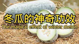 冬瓜的功效與作用 The efficacy and function of winter melon [upl. by Craig]