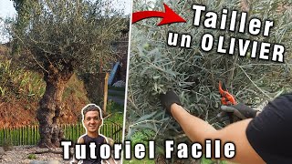 Comment Tailler un Olivier Je vous dis TOUT [upl. by Fillian]