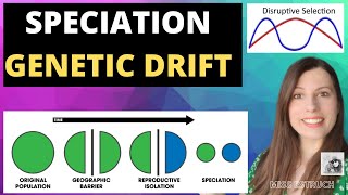 SPECIATION amp GENETIC DRIFT Disruptive selection leads to speciation allopatric amp sympatric [upl. by Llerryt]