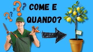 Come e quando potare il limone Video Tutorial [upl. by Westland]