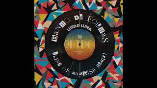 Luedji Luna  Banho De Folhas King Of Mambisa Remix [upl. by Loftis]