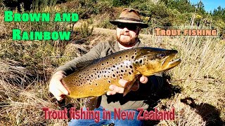 Trout Fishing New Zealand Flaxy Lake amp Rangitaiki River Ep 198 [upl. by Aizti]