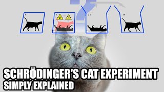 What Is Schrödingers Cat Experiment Simply Explained [upl. by Ardnikal]