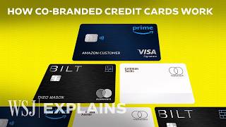 Why Banks Bet Big on Risky Credit Card Partnerships  WSJ [upl. by Erej]