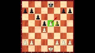 Chess Basics How it Works En Passant [upl. by Amsirac32]