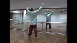 Five Element Tai Chi Qigong Supreme Ultimate Tai Chi Very easy to follow Practice at home [upl. by Connor]