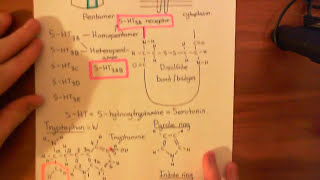 5HT3 Receptor Antagonists Part 2 [upl. by Cull]