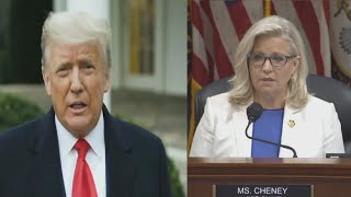 Liz Cheney speaks against Trumps chance at presidential reelection [upl. by Noremmac203]