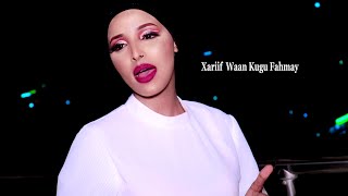 MALYUUN MAANKA XARIIF WAAN KUGU FAHMAY BEST DAADIS OFFICIAL MUSIC VIDEO 2022 [upl. by Mcdougall953]