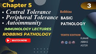 Central And Peripheral Tolerance Autoimmunity and Autoimmune Diseases Robbins Chapter 5 Lecture 3 [upl. by Aicinat]