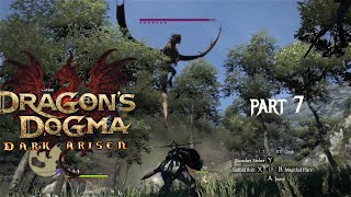 Messed Around And Found Out  Dragons Dogma Dark Arisen  Part 7 [upl. by Mauricio]