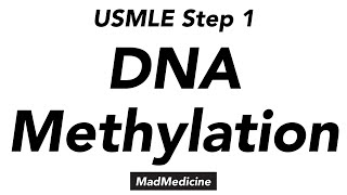 DNA methylation biomarkers  Garvan Institute [upl. by Nyleikcaj308]