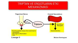 MİGREN TEDAVİSİ [upl. by Knowland891]