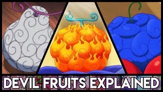 Explaining Devil Fruits  Everything You Need To Know  One Piece Explained [upl. by Dong]