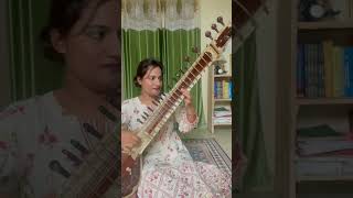 Piku sarod theme [upl. by Eatnuahc]