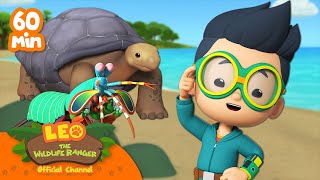 ANIMALS WITH SHELLS for Kids 🐢🦐 1 HOUR Turtles Shrimp  Leo the Wildlife Ranger  Kids Cartoons [upl. by Honor]