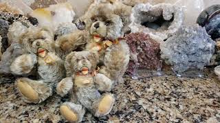 The History Of Vintage Steiff Zotty Teddy Bears [upl. by Demitria]