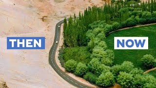 Can Chinas Great Green Wall Stop Its Deserts From Spreading [upl. by Lipscomb793]